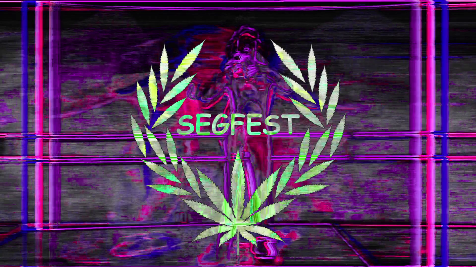segfest poster